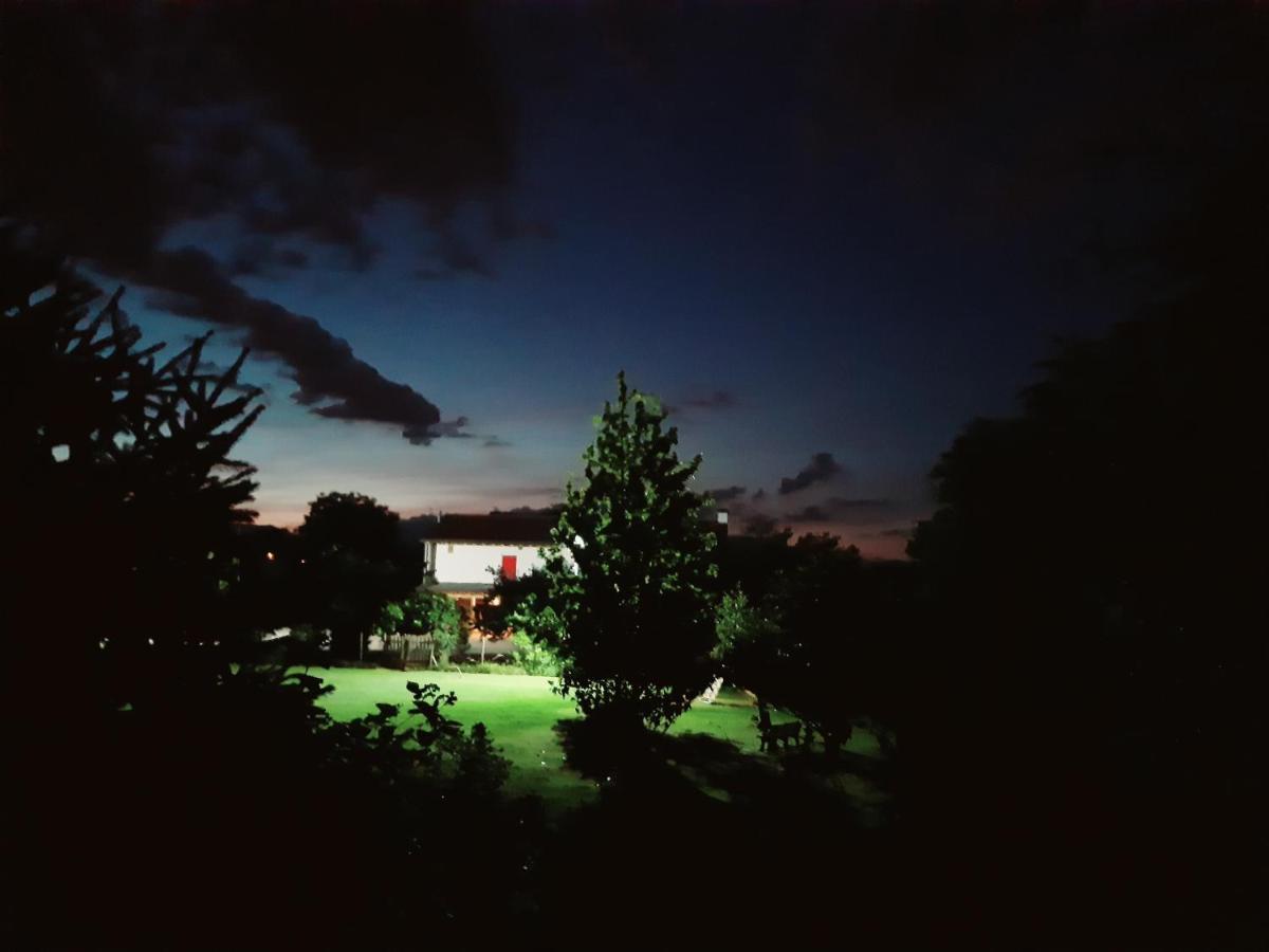 Agriturismo Il Podere Vedelago Con San Bernardo, Alpaca E Una Pentola Di Cose Da Scoprire ภายนอก รูปภาพ