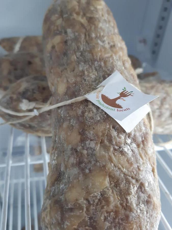 Agriturismo Il Podere Vedelago Con San Bernardo, Alpaca E Una Pentola Di Cose Da Scoprire ภายนอก รูปภาพ
