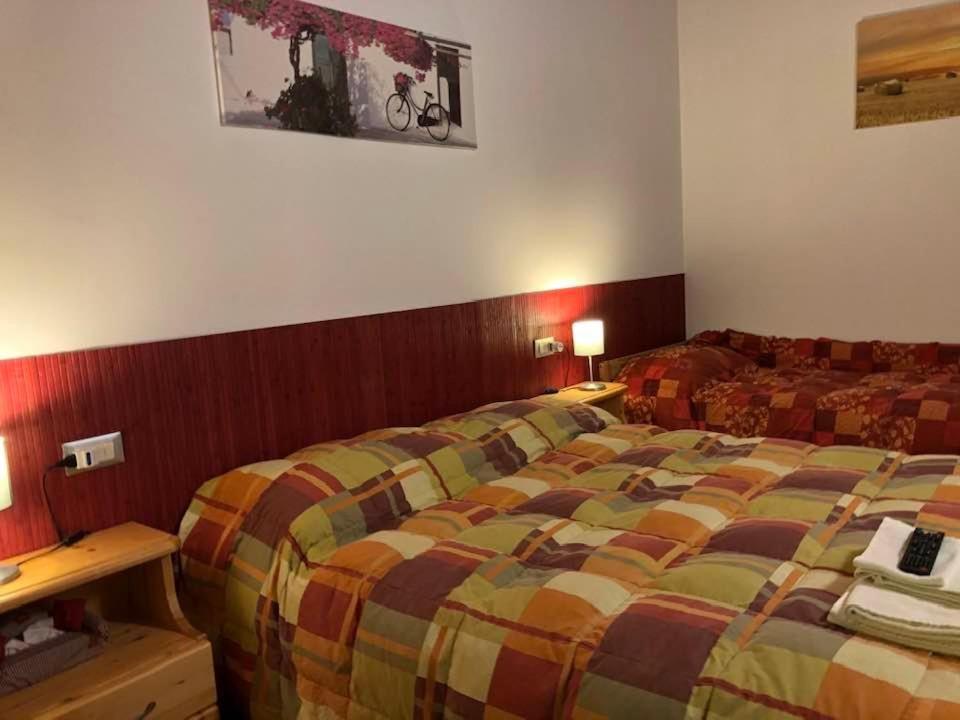 Agriturismo Il Podere Vedelago Con San Bernardo, Alpaca E Una Pentola Di Cose Da Scoprire ภายนอก รูปภาพ