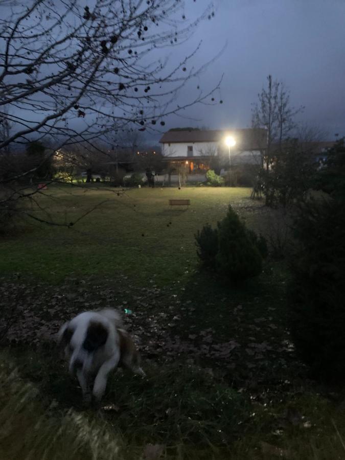 Agriturismo Il Podere Vedelago Con San Bernardo, Alpaca E Una Pentola Di Cose Da Scoprire ภายนอก รูปภาพ