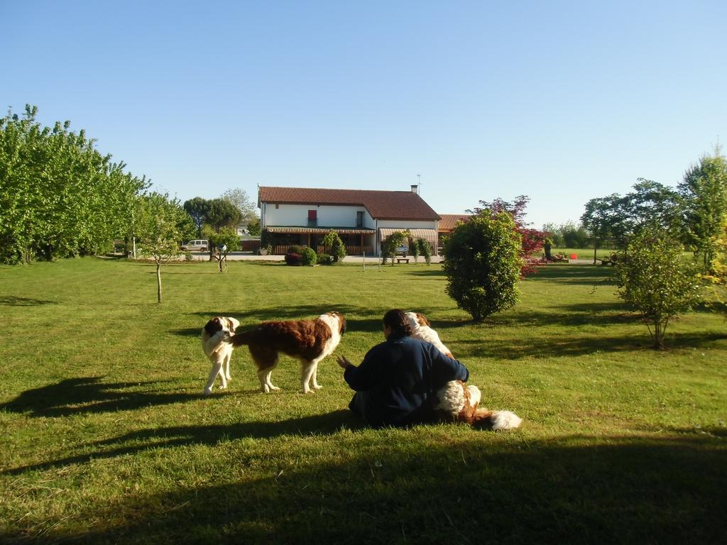 Agriturismo Il Podere Vedelago Con San Bernardo, Alpaca E Una Pentola Di Cose Da Scoprire ภายนอก รูปภาพ